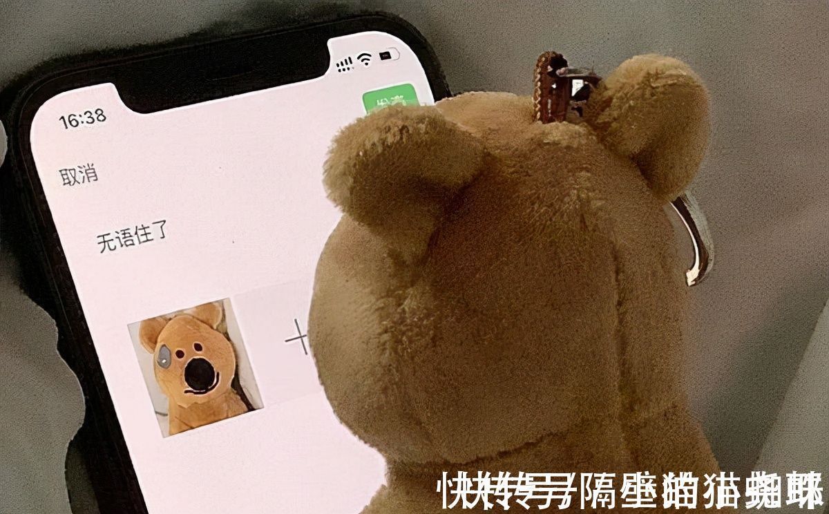 路飞|海贼王真人版:草帽五人团演员官宣后,粉丝们却在“吐槽”