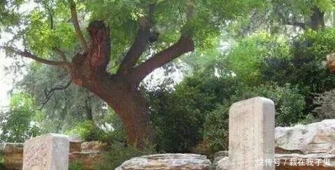 独奏曲|大明亡于李自成?崇祯自己的独奏曲,奏响了大明帝国灭亡的丧钟