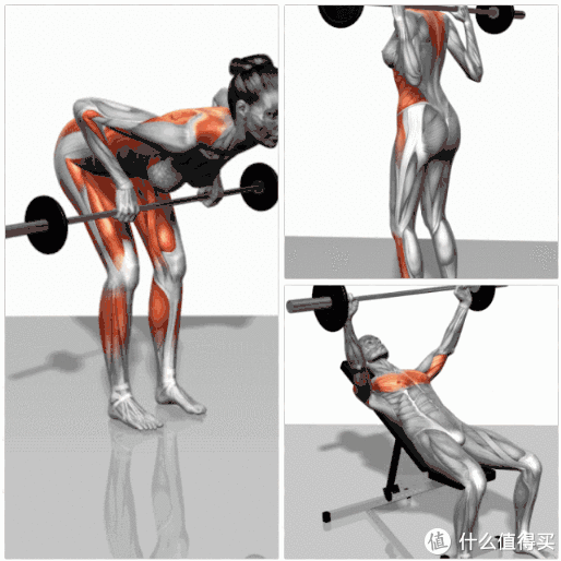 水箱|空格谈健身 篇十五：盘点不占空间的居家减肥锻炼必备单品