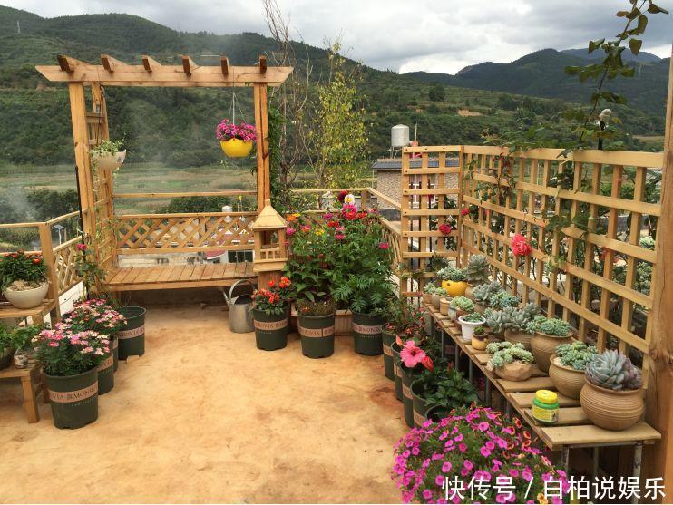 女婿在楼顶养多肉,村里人都跑来参观,丈母娘高兴坏了!