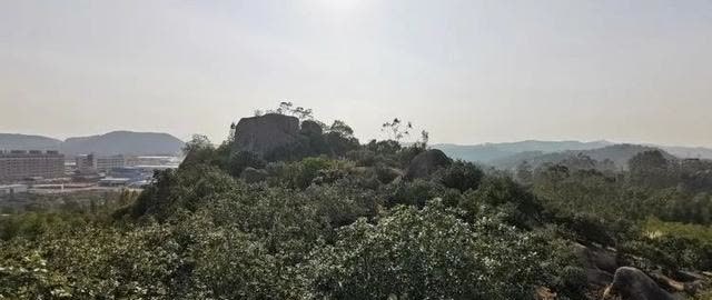 春日再游香山（作者：漳浦 宽心）