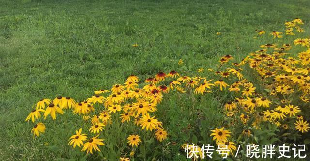 下联!5个流传千古的对联,水平有目共睹,期待你的欣赏