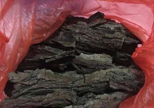 趁着冬日的最后时光，多捡些树皮、枯枝叶备用养花吧！