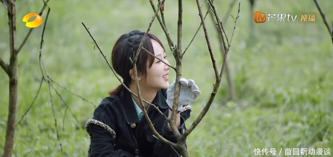 彭昱畅|《向往》推出杨紫张艺兴特辑,网友态度两极分化:唯恐天下不乱?