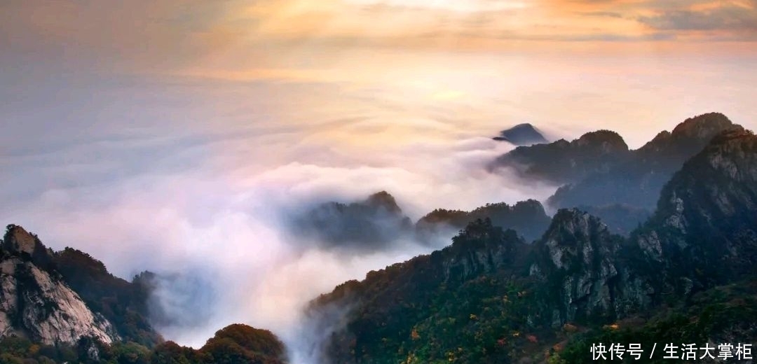 杜鹃花|近日，河南一著名景区内多个山头被一株株杜鹃花覆盖，美不胜收！