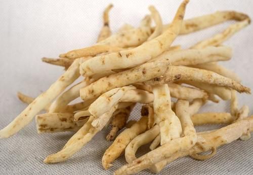  人参|有一味中药是传统五参之一，能养阴清肺，还能养胃