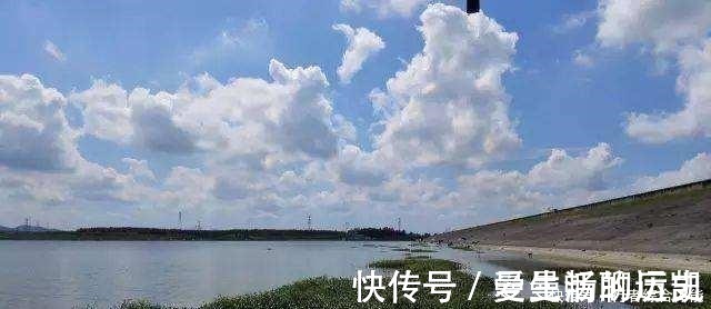 老话讲“钓鱼要钓草,不然要白跑”!但这4种水草钓也白跑