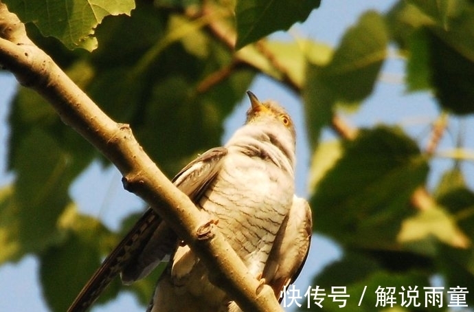 迷烟&2首很冷门的古诗词,历经千年风霜,却能够惊艳人心