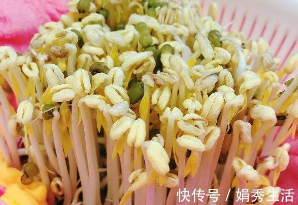 容器|在家发豆芽，4天就能吃，方法教给你，制作简单，好吃营养又卫生