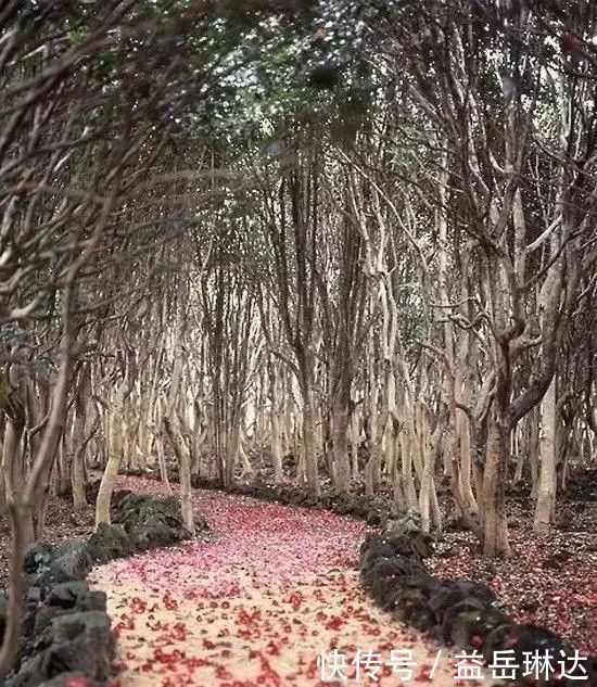 太美了，世界照片今天终于传来，罕见至极，一睹为快