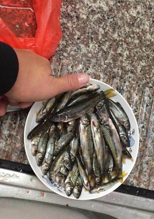 废弃景区,意外发现天然钓场,爆钓上百条溪石斑