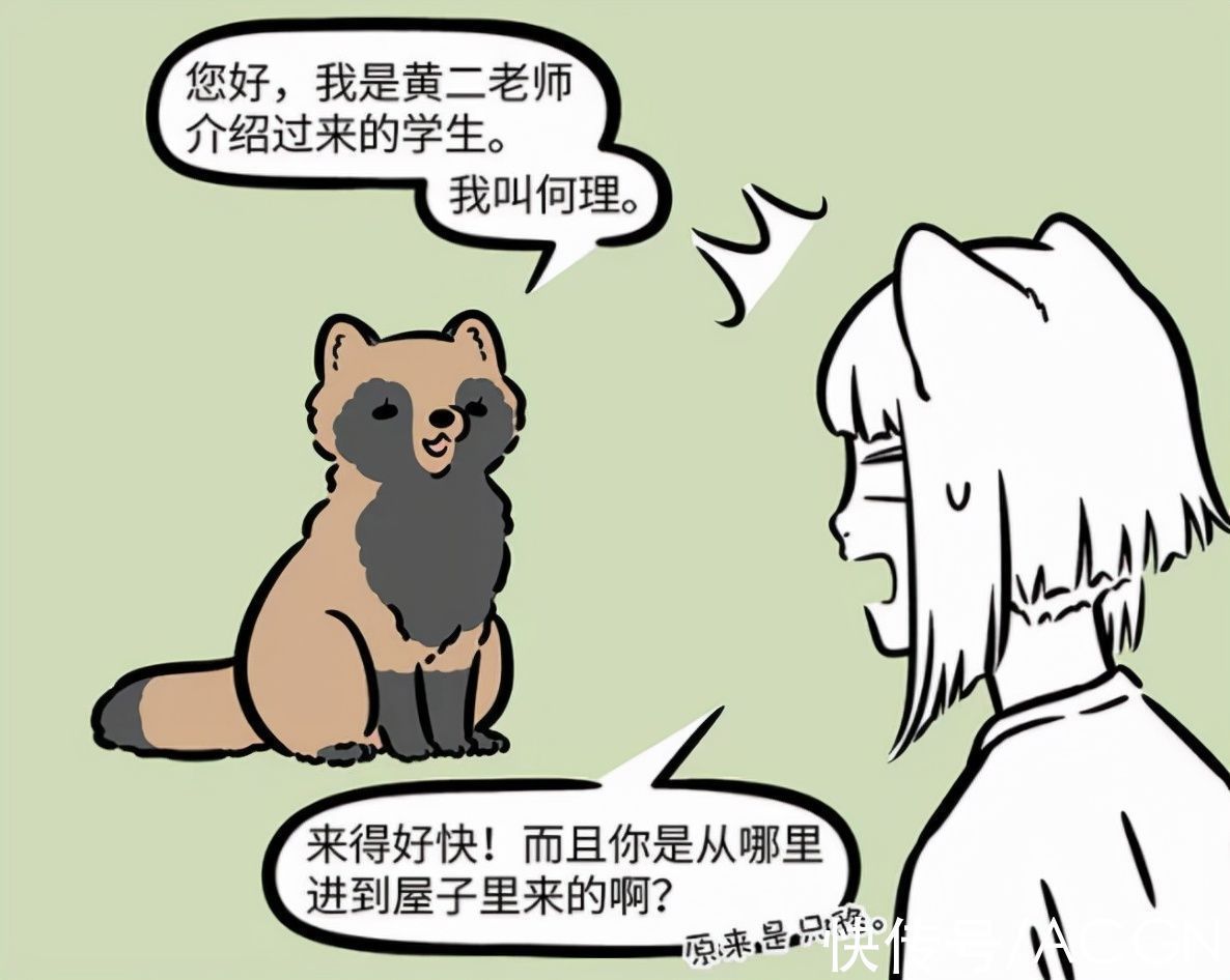 狸猫们|非人哉又有新角色!九月妹子喜提“师妹”,好期待她的人类形态