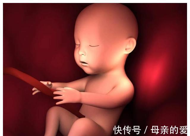 准妈妈|胎动——胎宝宝健康与否的重要指标,它的秘密你知道多少呢?