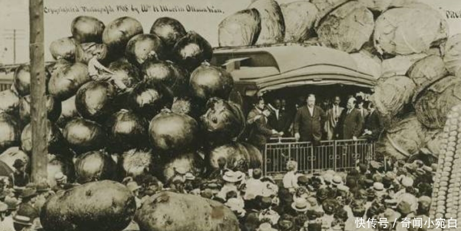 鸡比牛大|百年前美国“浮夸风”的照片：一列火车运一颗土豆，图5鸡比牛大