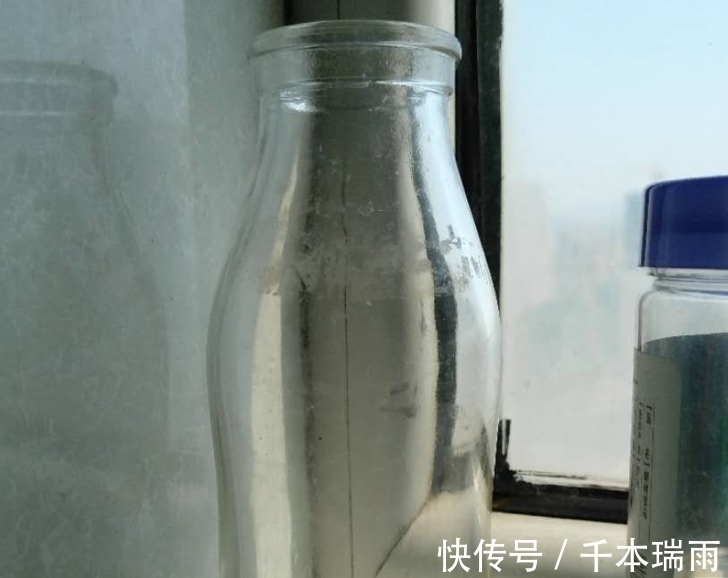 喝完的酸奶瓶不要扔,水培几棵铜钱草就是一抹风景