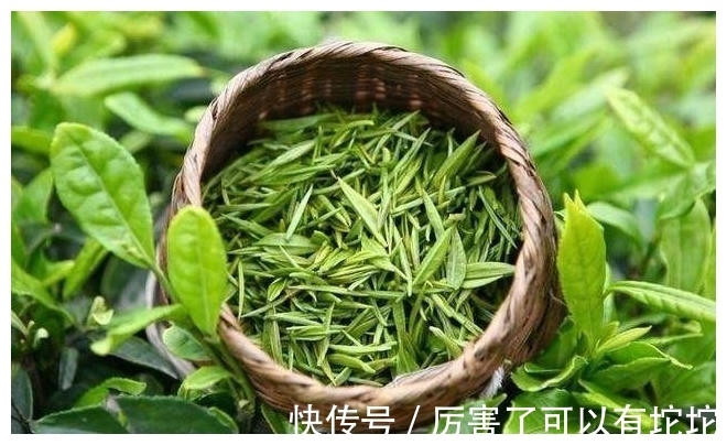 先兆|身上有这6个特征，小心脑血管已堵塞，预防脑梗，谨记两个达标！