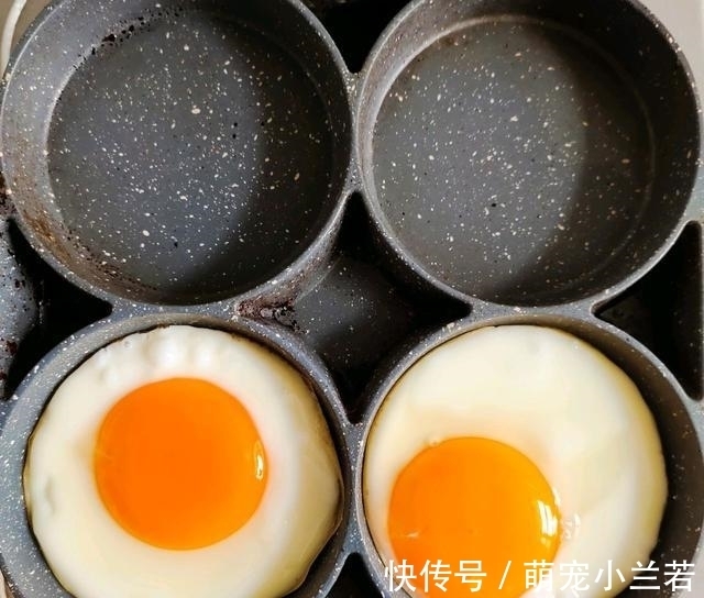 吃好|神兽上学了,早餐要吃好,方便携带营养好,坐车上也能吃,省时!