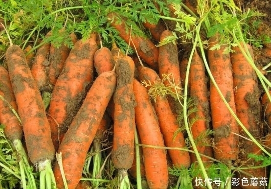 养肝|患有肝病不用怕,常吃这几样食物,排毒养肝,肝慢慢变好!