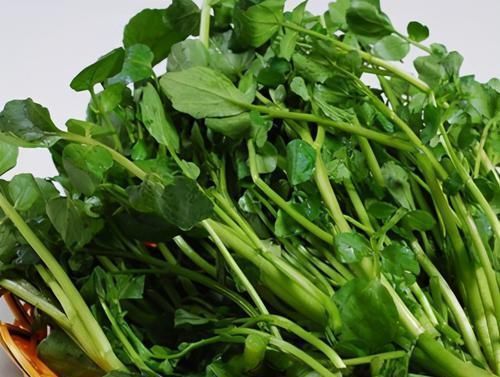 中年|女性爱美要多吃3种食物,排毒养颜、增强体质,早吃早好!