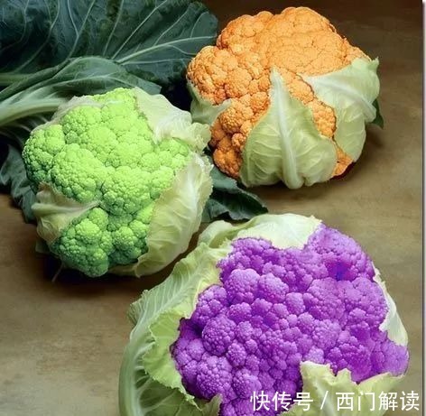 你绝对没见过的奇特的瓜果蔬菜!大开眼界!