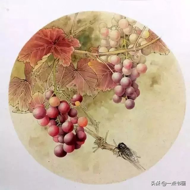 工笔#《葡萄秋蝉图》工笔绘制步骤