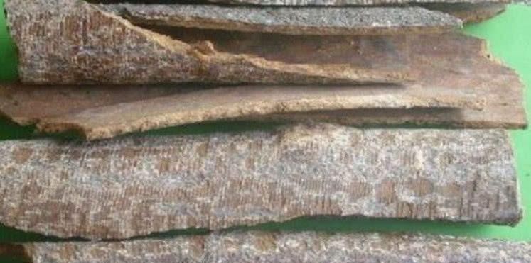 常吃|别看它样子丑, 却是子宫的“暖宝贴”, 女人常吃, 摆脱宫寒气色好