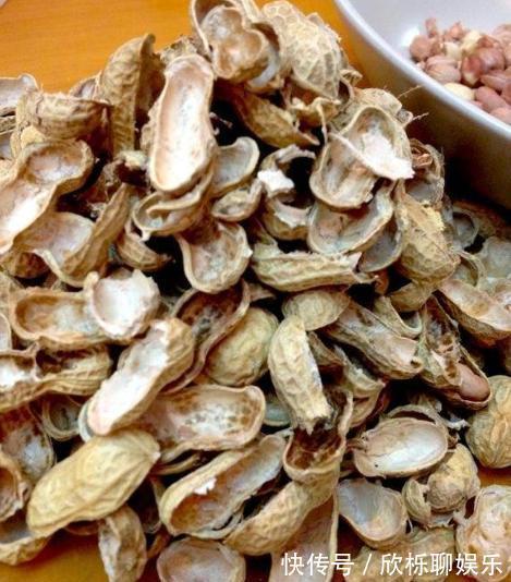 根系|兰花、君子兰最喜欢这种“废物”，配土加一点，大白根挤满盆