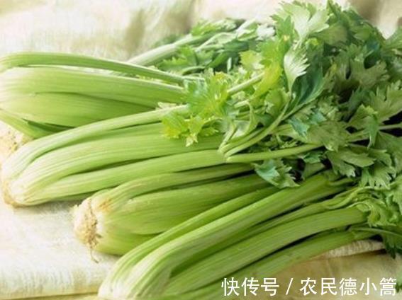 养生|什么食物健康养生，芹菜有哪些种类，盘点一下芹菜的几大功效