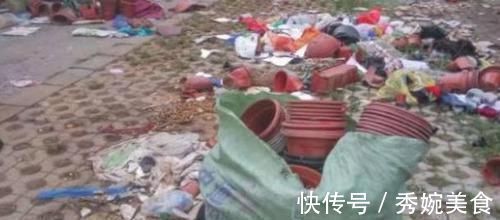 养花还在买花盆学会一招，再不用多花一分钱，一捡一大堆