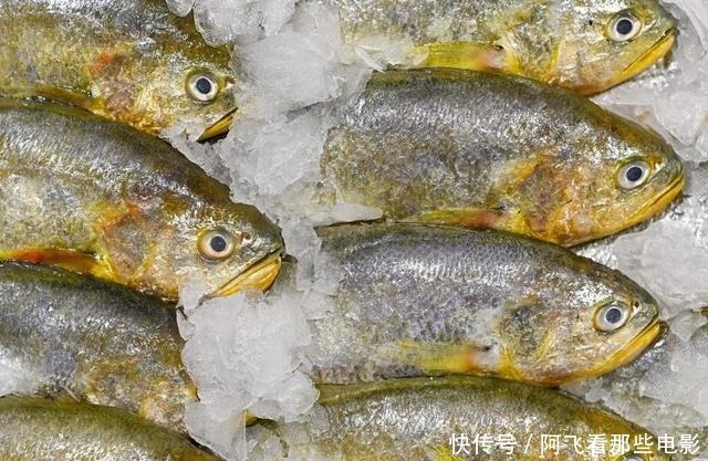 开海后,买鱼专挑这4种,好吃还实惠,连卖鱼的都夸你是行家