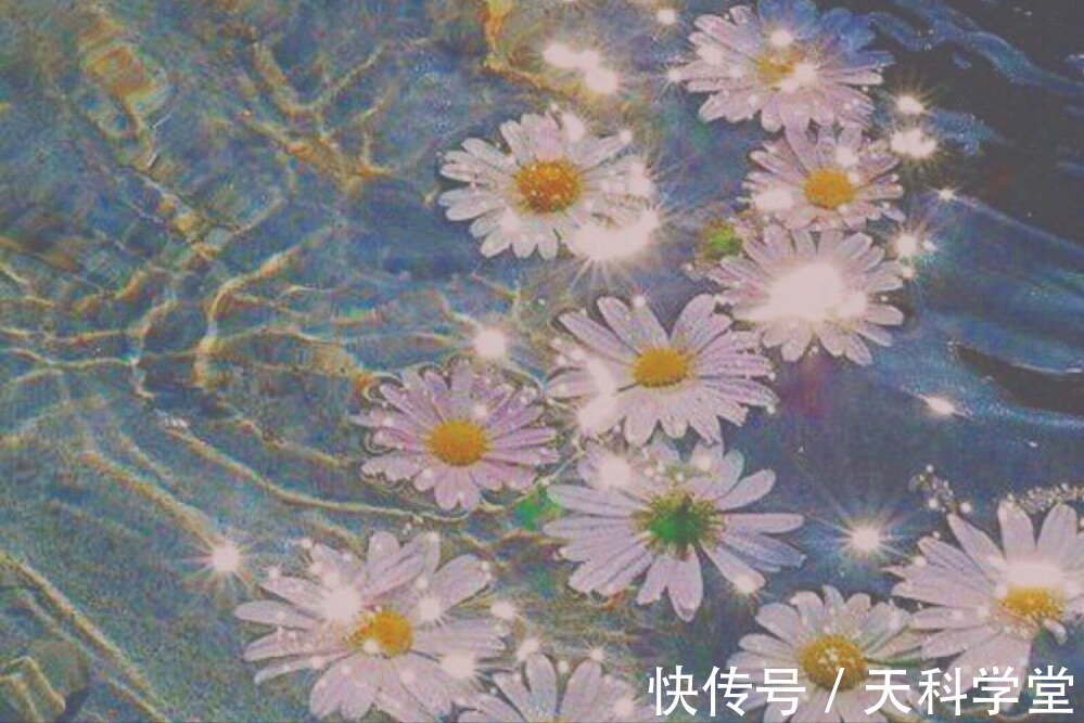 十二星座|看似佛系，其实内心坚韧的星座，不争不抢却内有乾坤，有大智慧