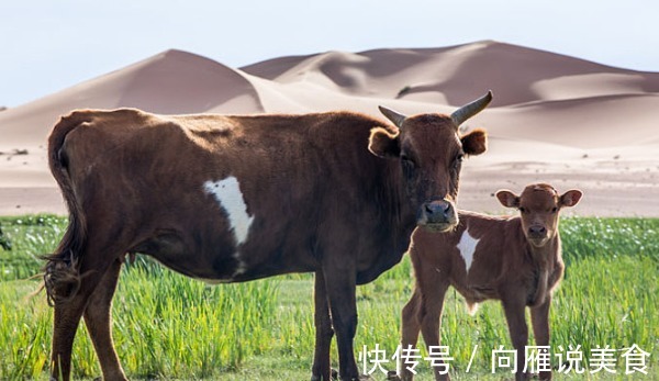 生肖|生肖鼠与谁在一起会走好运若和3生肖缔结良缘，生活会苦尽甘来