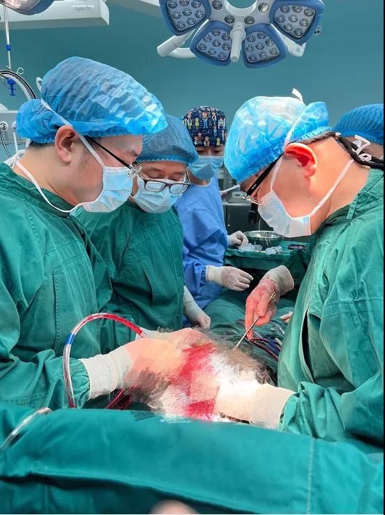 心外科|鲁东医院心外科完成首例全麻体外循环下主动脉瓣置换术