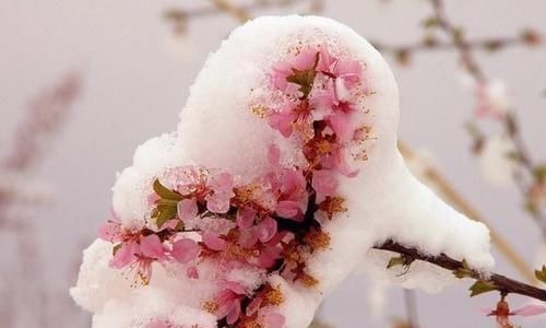 滚先生|爸爸姓滚,喜迎双胞胎,却为起名想破头,爷爷随口一说全家点赞