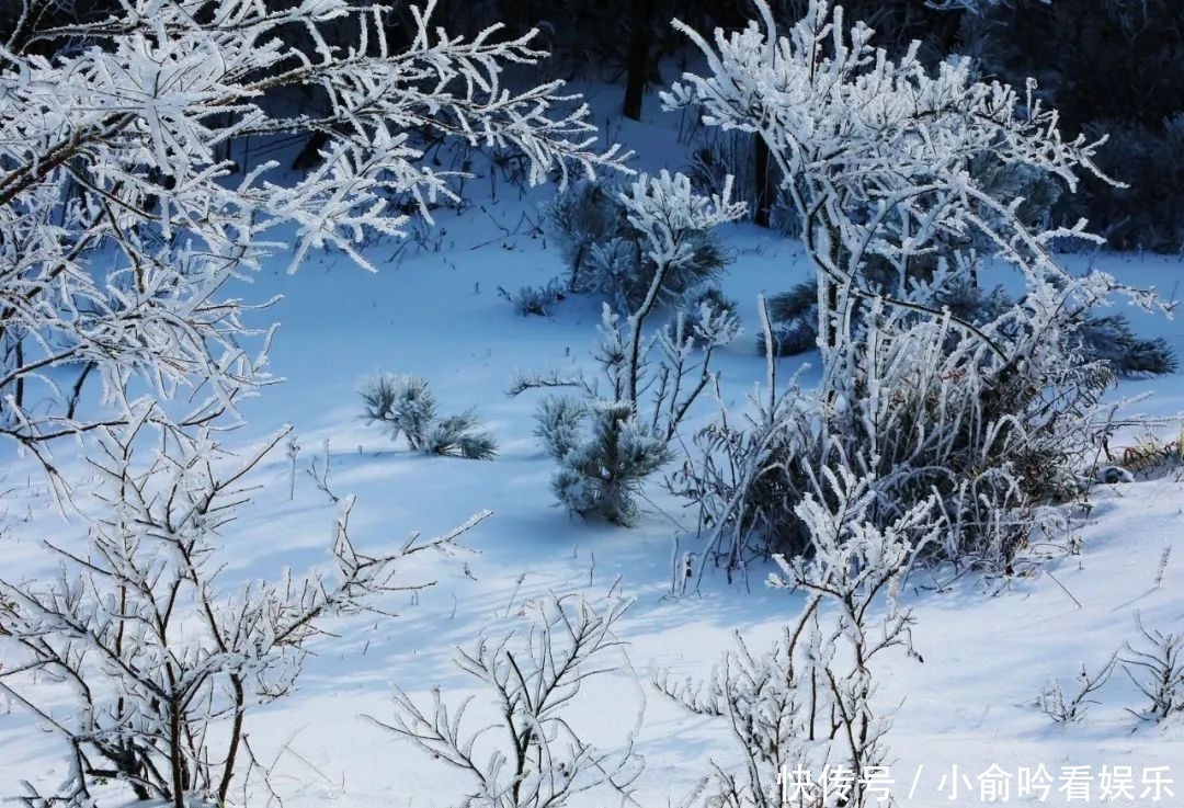 雪景|遂昌大美雪景图！让你一次看个够