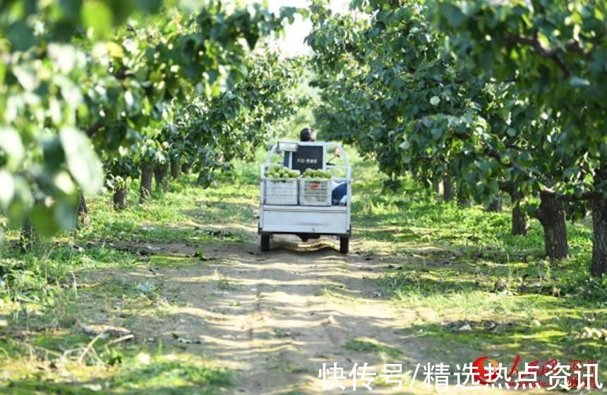 永清|河北永清：乡村旅游助力乡村振兴