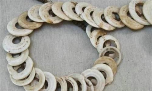 贝类|先秦流通货币是贝壳,为何人们不去海边捡专家不捡才是聪明人