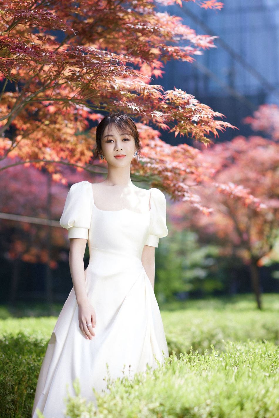 杨紫穿白裙置身红叶中 氛围感满满