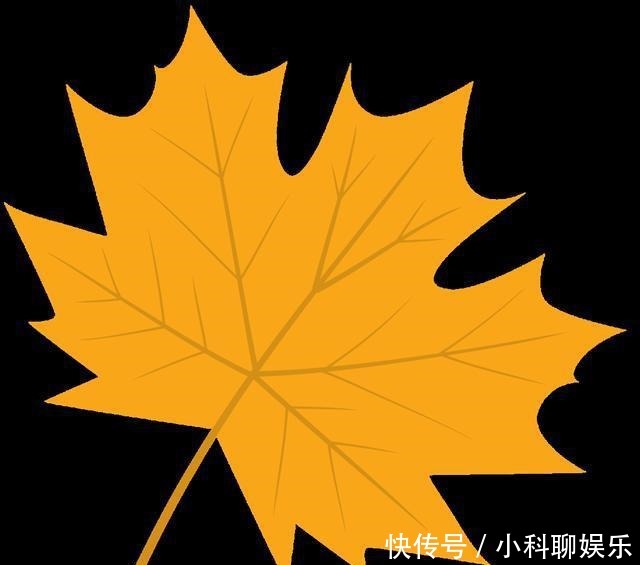 盛开|夹竹桃盛开的这扇门后,曾有过辛亥元勋的足迹