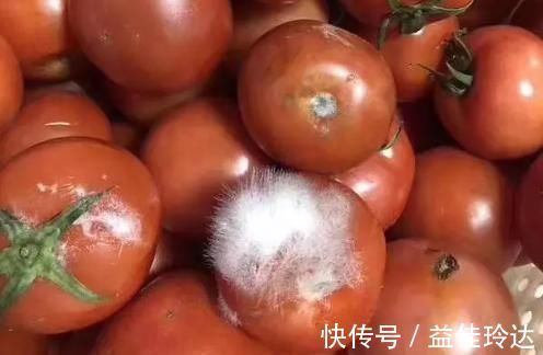 医生|多吃苦瓜能养肝？肝病医生说出答案：3物伤肝，平时常见不要碰