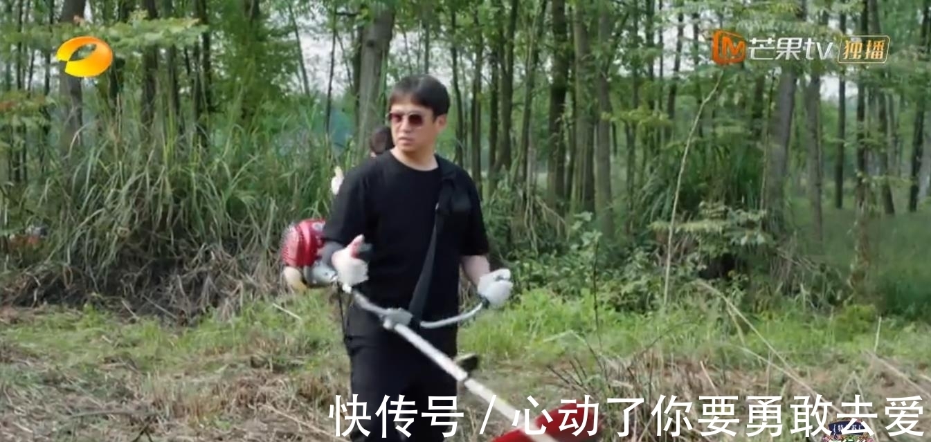 向往的生活5|《向往的生活5》集體勞動種樹，黃雅莉成功出圈，張藝興廣受好評