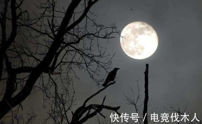 月下独酌#10首写“月亮”的诗词排行榜，李白《关山月》仅第四，前三是谁？