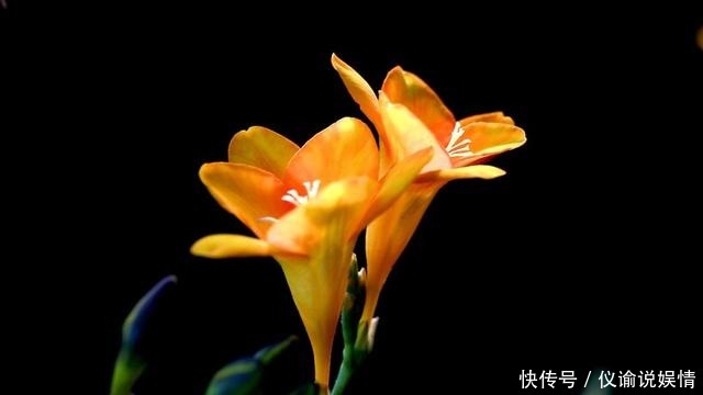 你能吞得下多少委屈,就能成就多大的格局