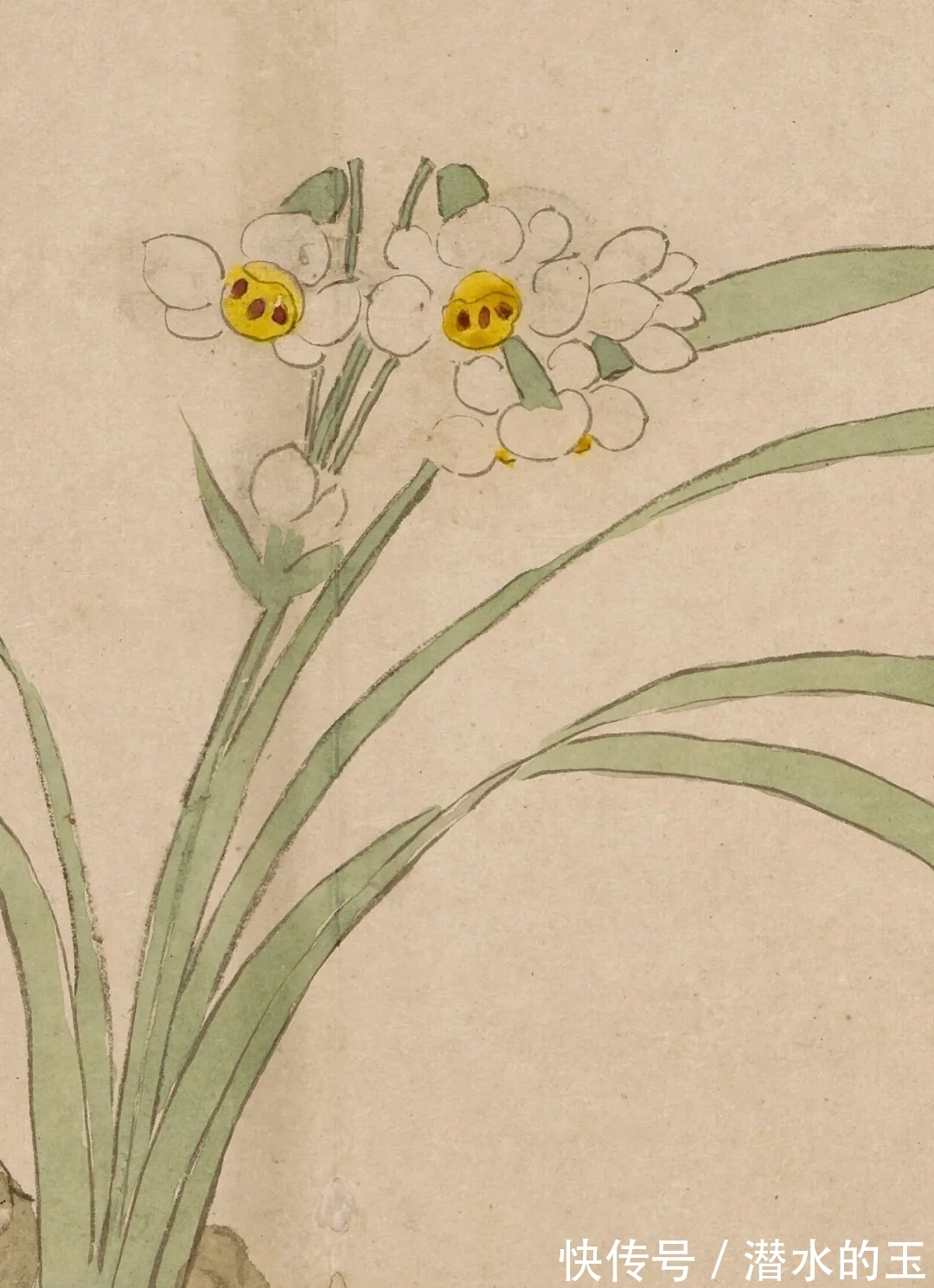 花卉图$汪士慎:一生心事为花忙丨私享艺术