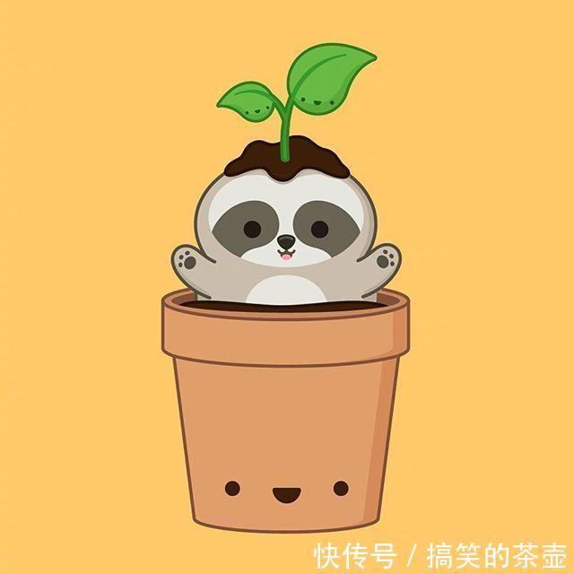 |逗人开心的笑话,顽皮有趣,笑到肚子疼!第一句就说到心里了