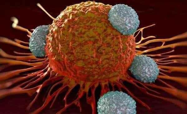 爱尔玛|五十岁后,不爱做一件事的人,身体不会太差,长寿与你有缘