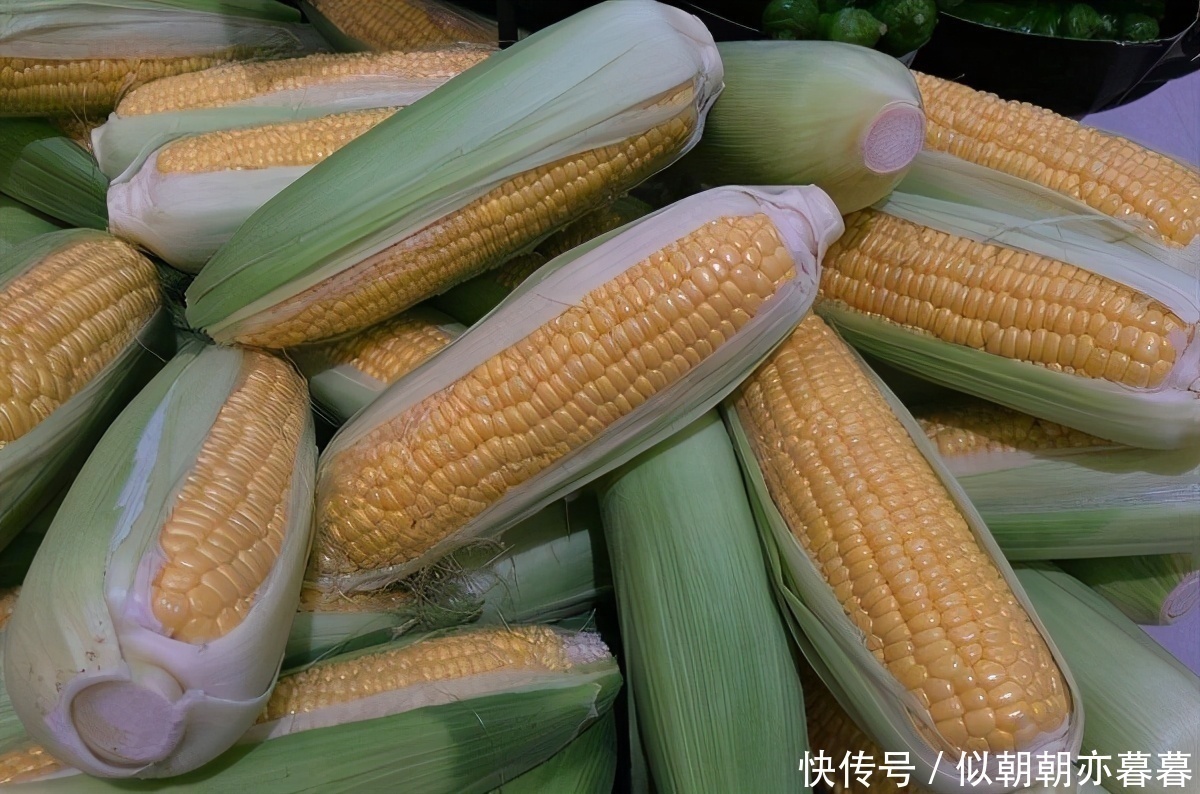 补锌|健康最猛的3大主食,营养丰富,补锌补钙,早吃早受益