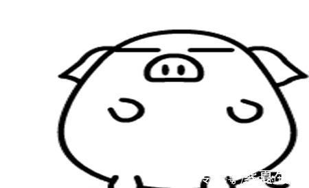 |幽默笑话:出嫁前三天,为了招待村里人,闺蜜狠心宰了一只猪