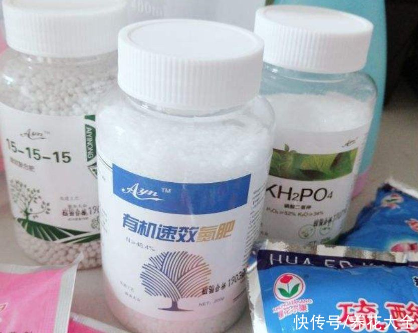 根系|夏季养根有方法，学会这5点，根系发达植株旺