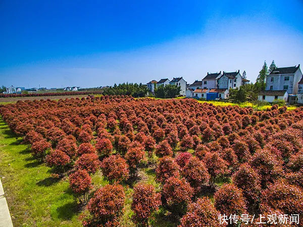 长三角28条美丽休闲乡村旅游路线，金山这两条你都去过吗？